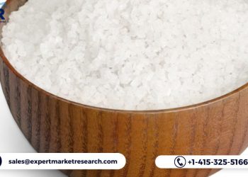 Monosodium Glutamate Market