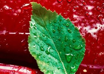 car cleaned? Check out the best car cleaning services!