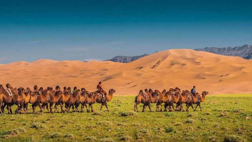 travel to Mongolia