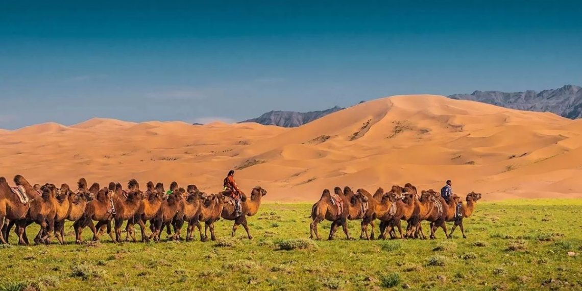 travel to Mongolia